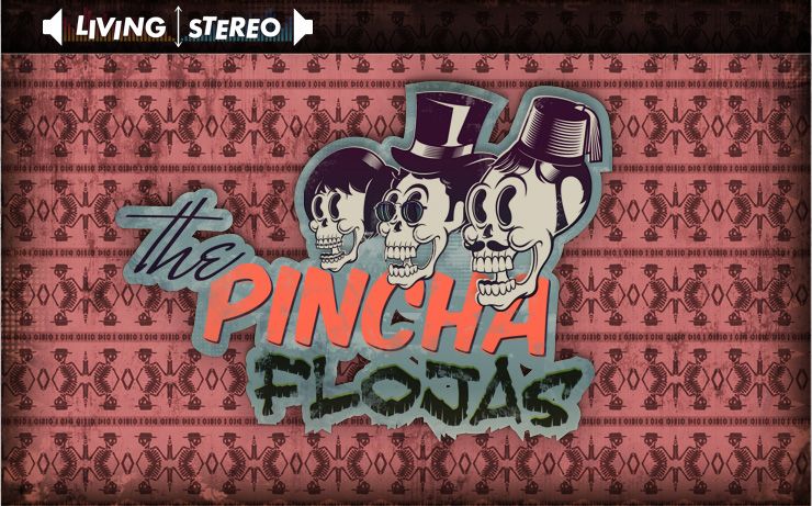 IMAGEN PINCHAFLOJAS 3