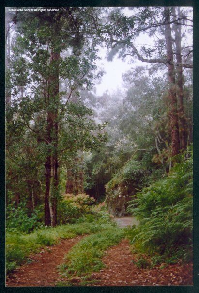 Paisajes 9