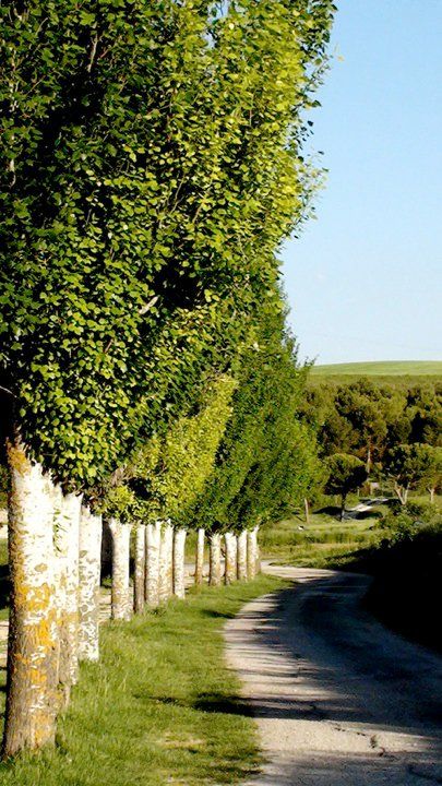 Paisajes 11