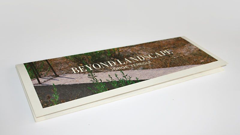 Beyond Landscape 1
