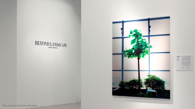 Beyond Landscape 6