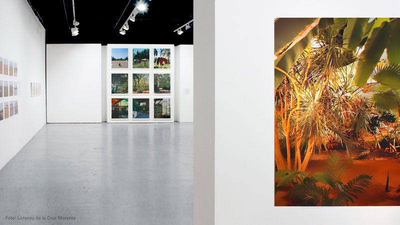 Beyond Landscape 7