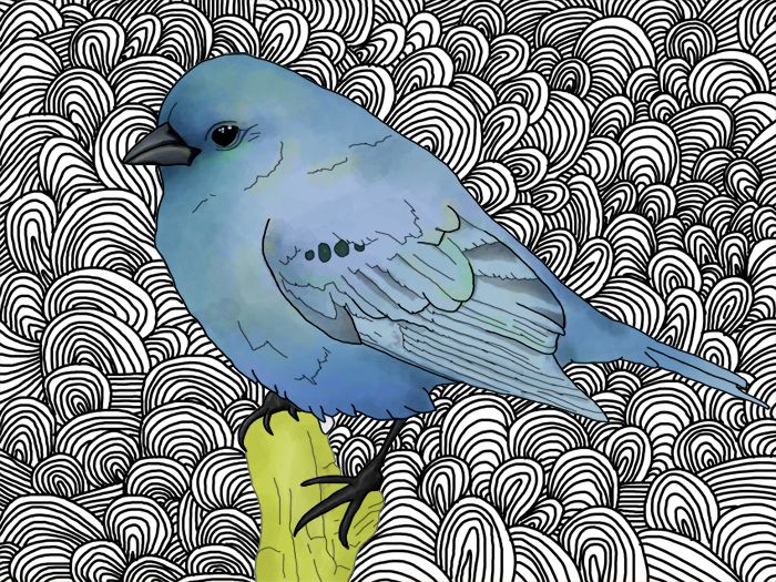 Illustrations 3