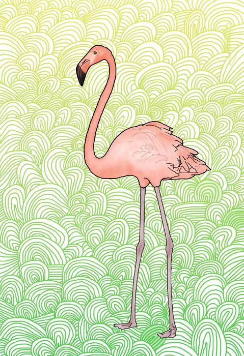 Illustrations 1