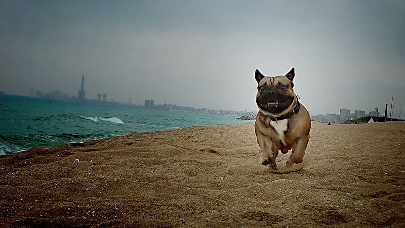 Retoque fotográfico 2