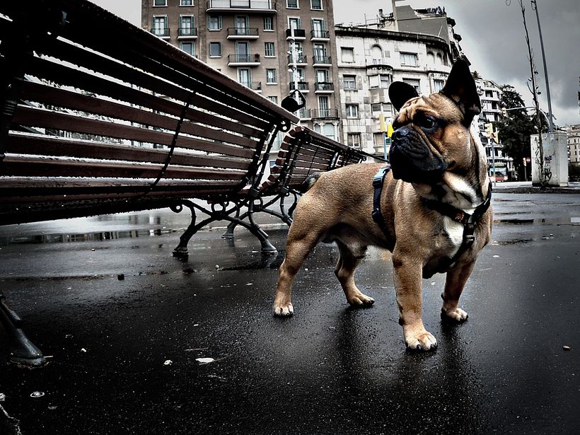 Retoque fotográfico 3