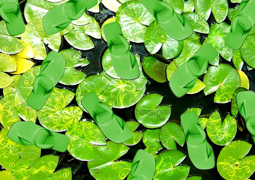 Havaianas 1