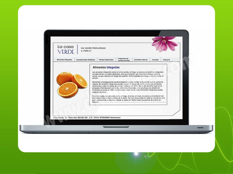 Diseño Web 10
