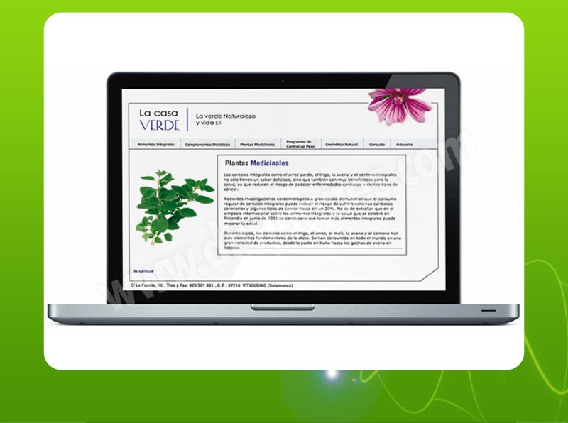 Diseño Web 11