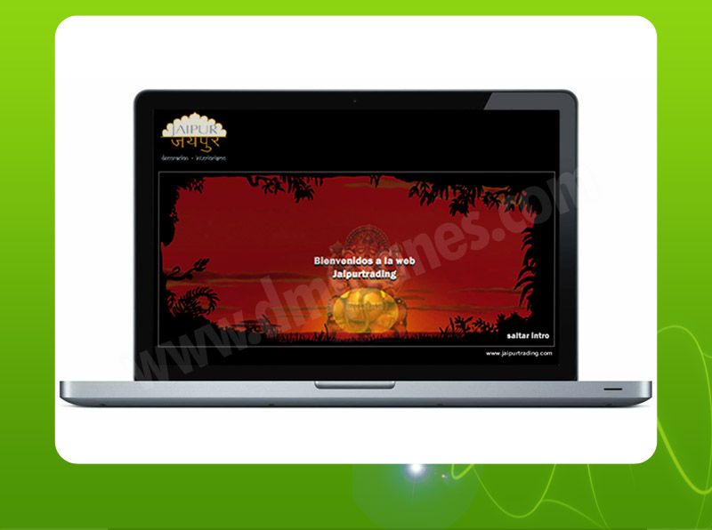 Diseño Web 13