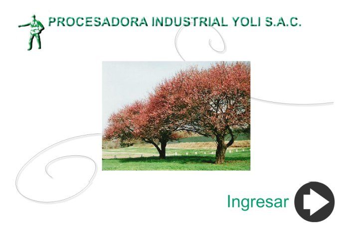 Procesadora Industrial Yoli S.A.C. 1