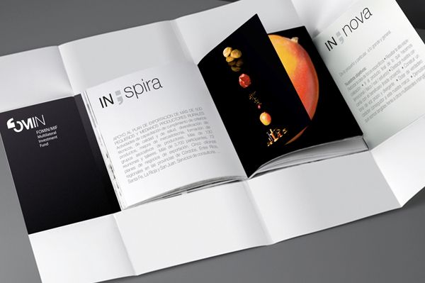 Fondo Multilateral Inversiones 4