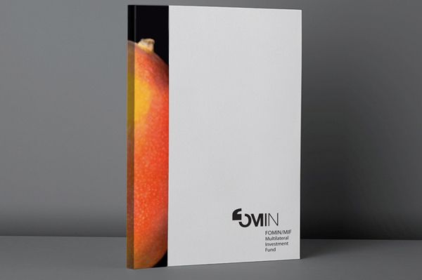 Fondo Multilateral Inversiones 3