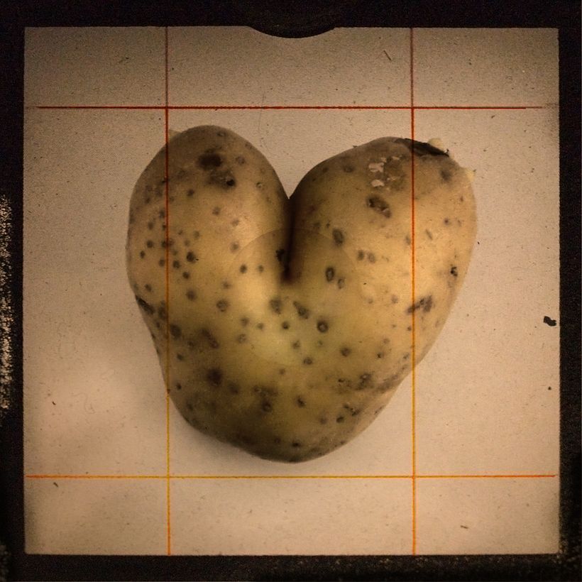 ...TTV... 9