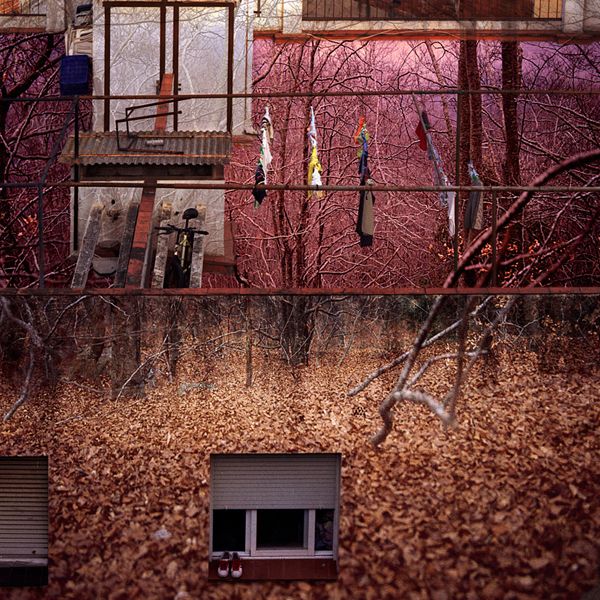 reflejos 4