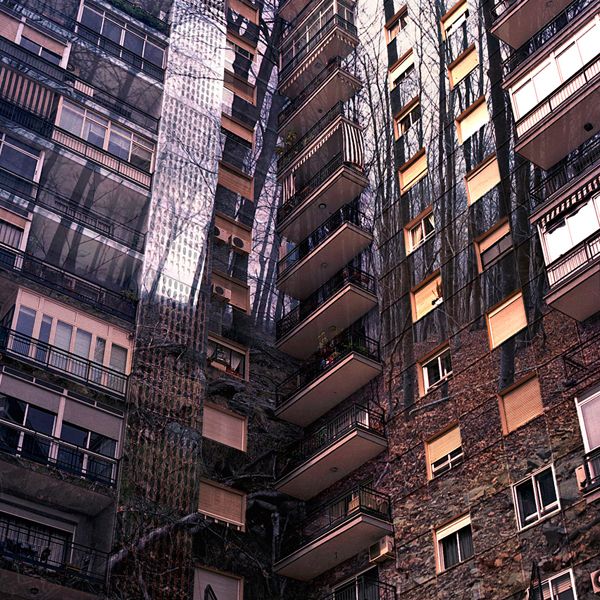 reflejos 19
