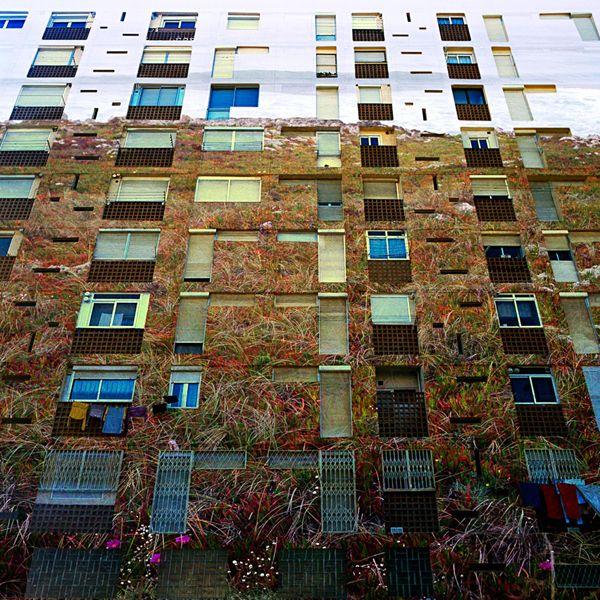 reflejos 1