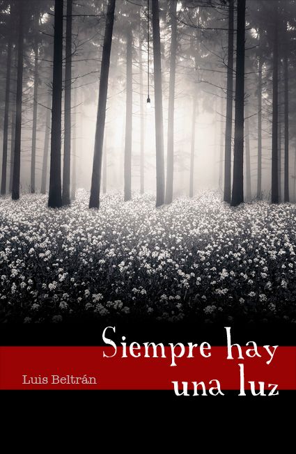 Portadas de libros 13