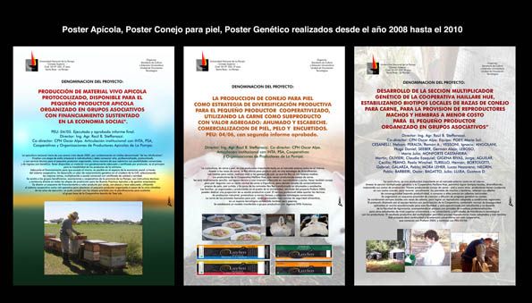 Comunicación Gráfica 2