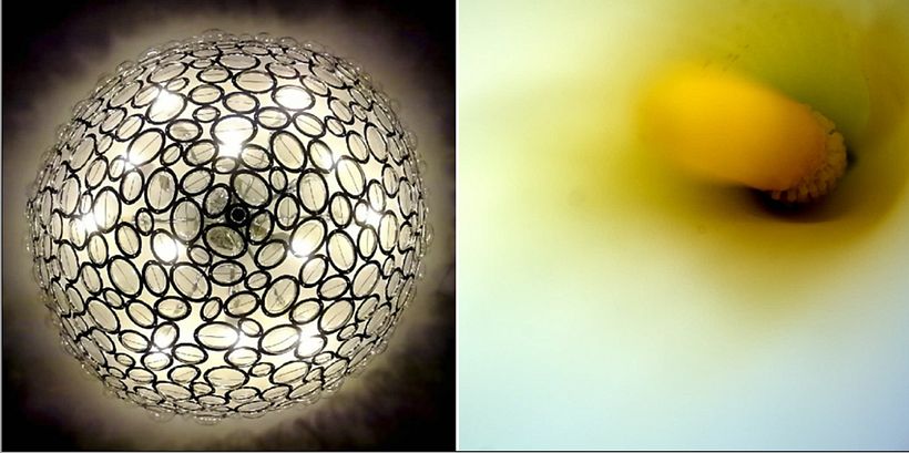 Fotografía - Fotografi