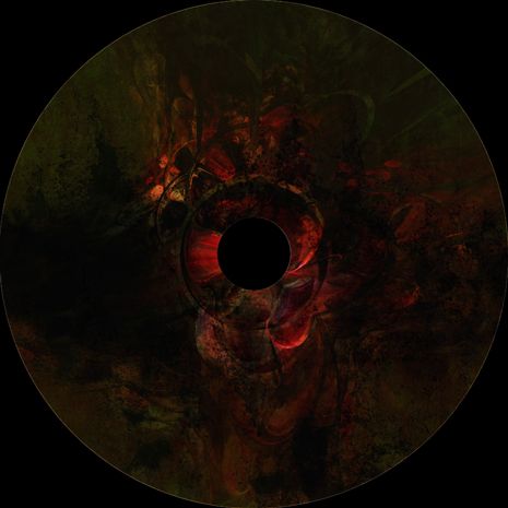 Cd Infusión Flowers 12