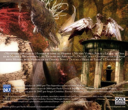 Cd Infusión Flowers 6