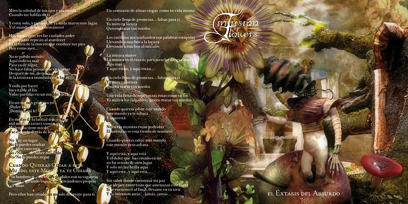 Cd Infusión Flowers 4