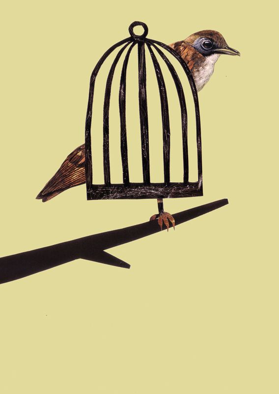 Libre 1