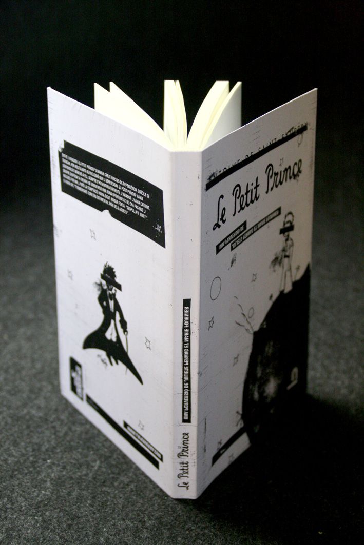 La Perversa 17