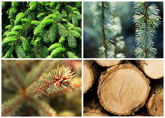 Barr Construction - Branding & Web Design 2