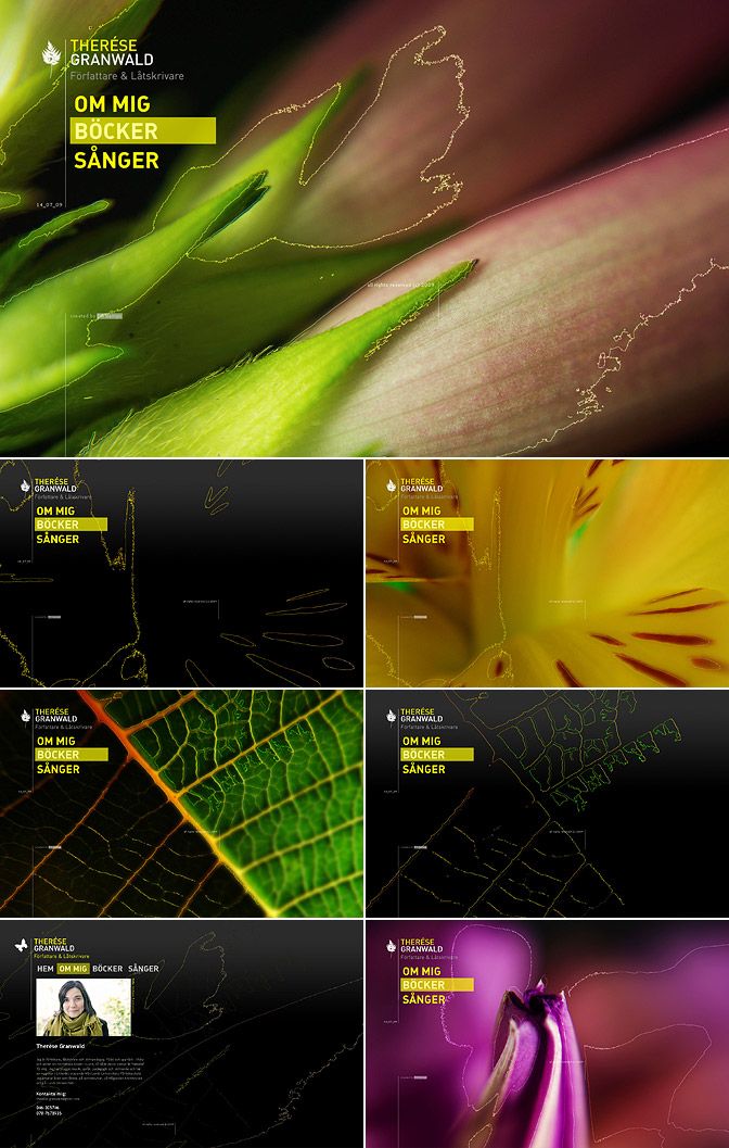 Diseño Web 17