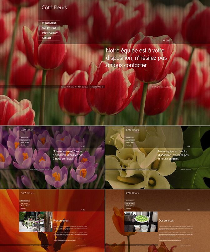 Diseño Web 13