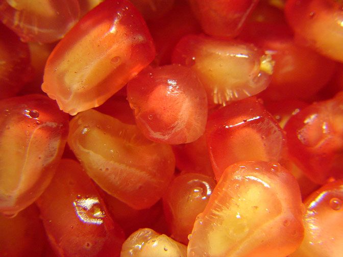 Fotografía Macro 19