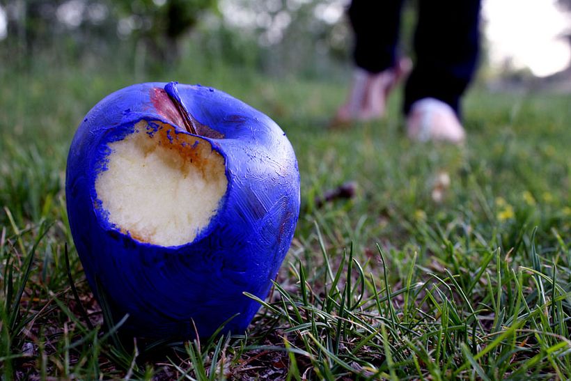 Fotografía (Trabajos personales 2006 y 2008) 4