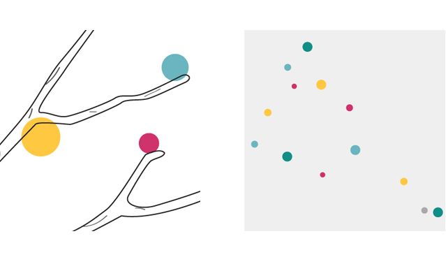 Cotton Basics Designs 4