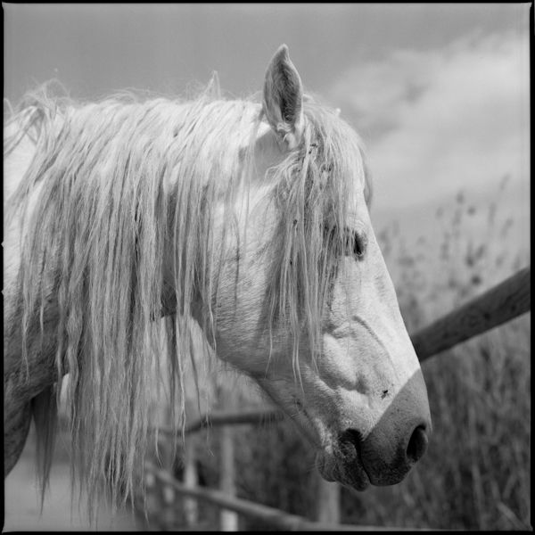 120mm  2