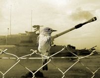 Retoque fotográfico 43