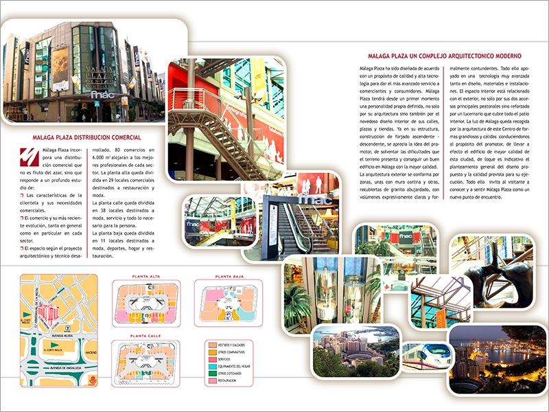 Edición_Diseño. 6