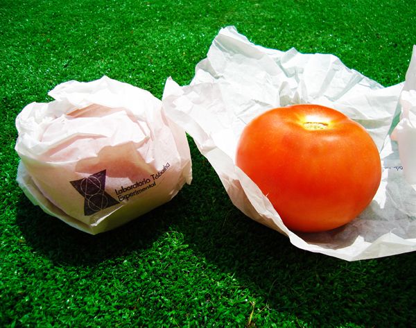 Laboratorio Tábatha Experimental 2