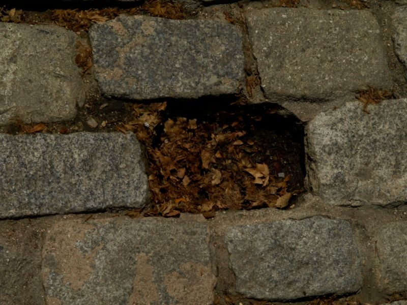 Arquitectura 15