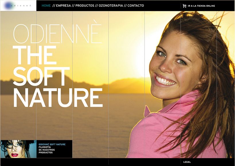 Microsite Odiennè - Desain