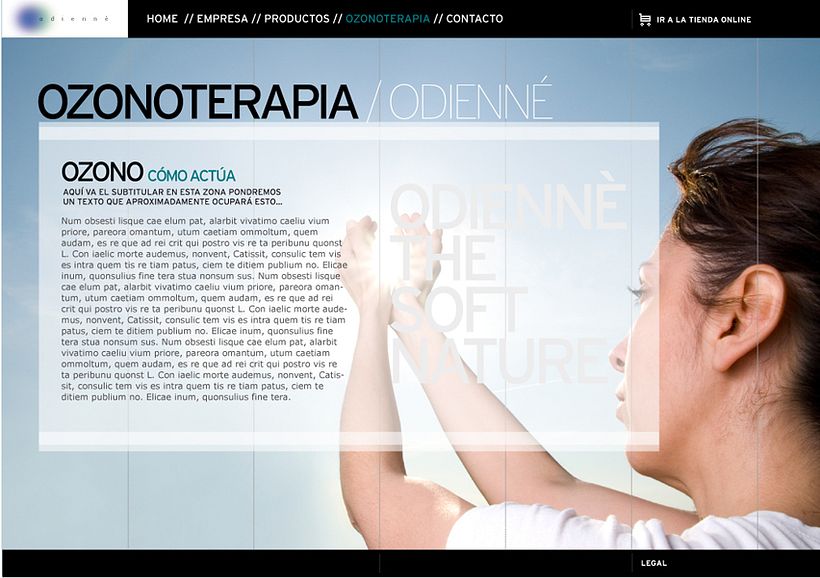 Microsite Odiennè - Desain