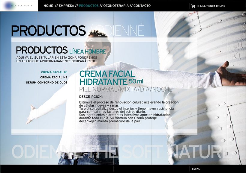 Microsite Odiennè - Desain