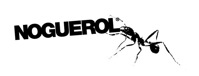 Noguerol - Desain