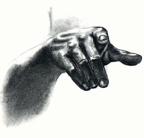 Ilustración 4