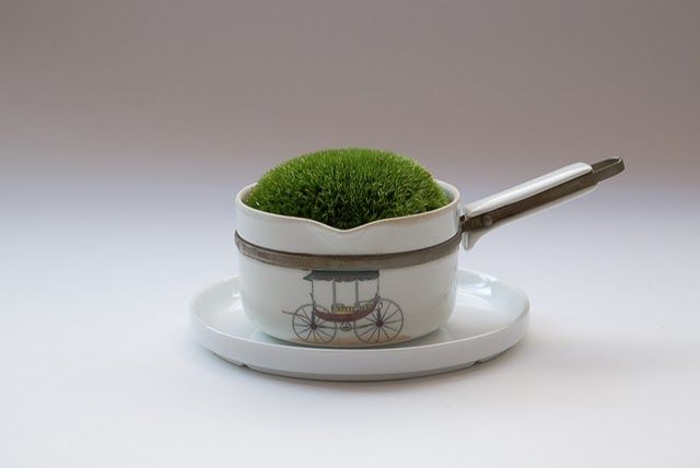 Moss Garden 3