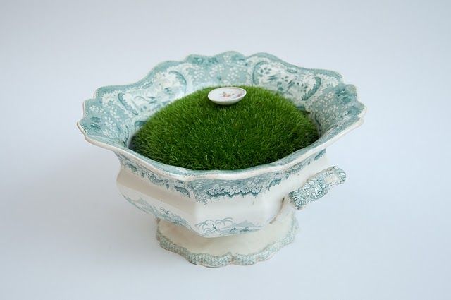 Moss Garden 1