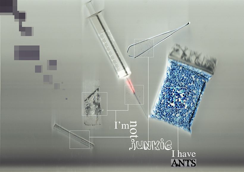 ¿Diseños? (Cap. 2) 3