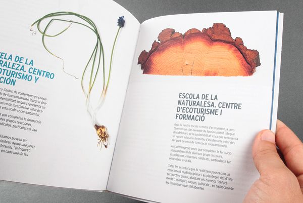 El Teularet. Catálogo 24