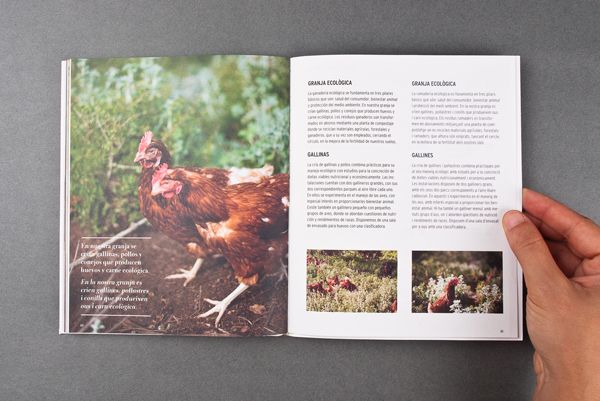 El Teularet. Catálogo 22